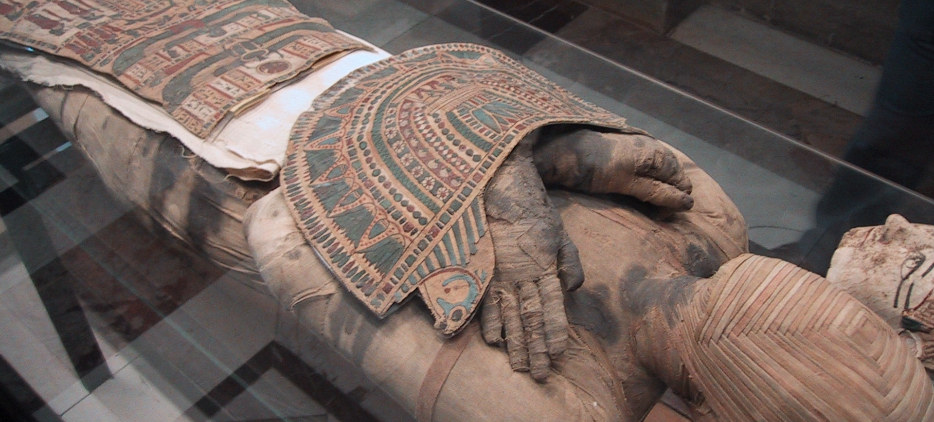 Mummy in museum case